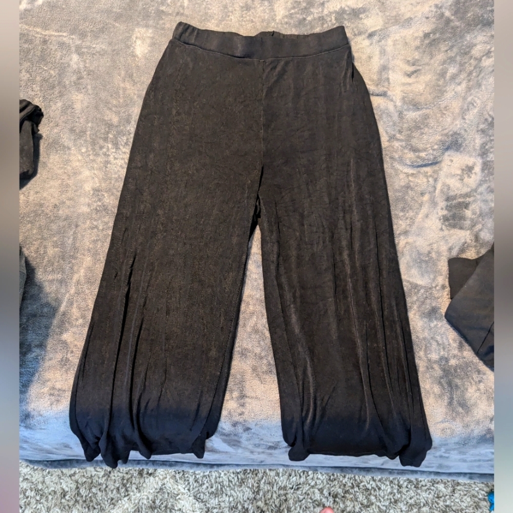 Chico's Travelers 1 U.S. 8/10 Chicos Travelers 1 Ankle Cropped